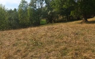 Teren de vanzare Coebeni-Turburea-Arges - Poză 3