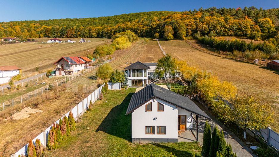 Casă 4 camere, garaj, foișor, grajd, 6000mp teren lângă padure - Poză 26
