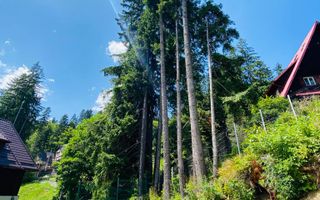 Vila Sinaia - Poză 40