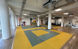 Spatiu de birou cu terasa de 295 mp - Poză 2