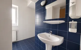 Proprietate multifuncțională cu potențial ridicat | Blascovici - Poză 12