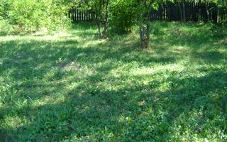 Teren  de vanzare Cornu 1919 mp - Poză 3