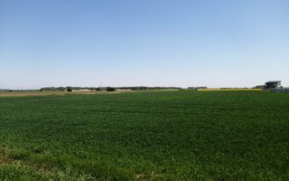 Teren intravilan 5114 mp in comuna 1 Decembrie - Ilfov - Poză 2