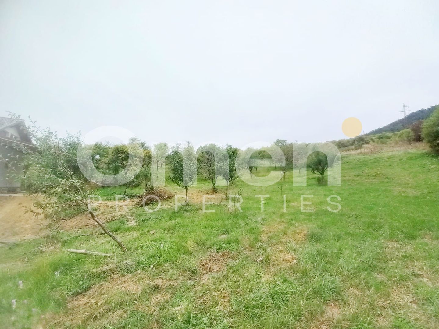 Teren 58 arii cu deschidere la drumul principal – Miron Costin - Poză 4