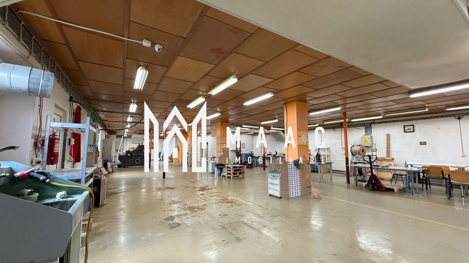 Teren 1400MP + Hala 500MP | Utilitati | Lacul lui Binder - Poză 24