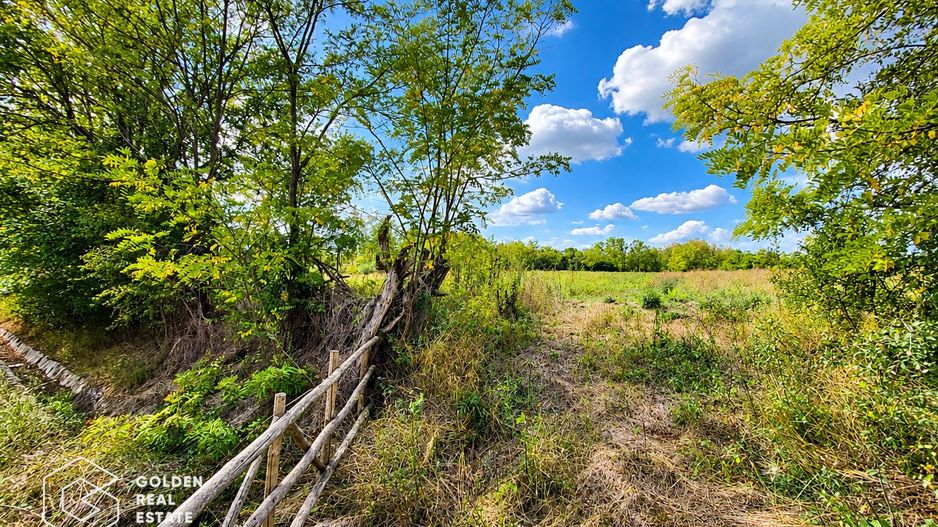 Teren intravilan, 1260 mp, localitate Ususau - Poză 2