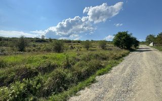 Teren intravilan, Schit - Poză 1