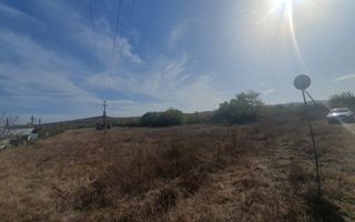 Vanzare teren arabil 22 Ha, plan, Arges, Moraresti - Poză 9