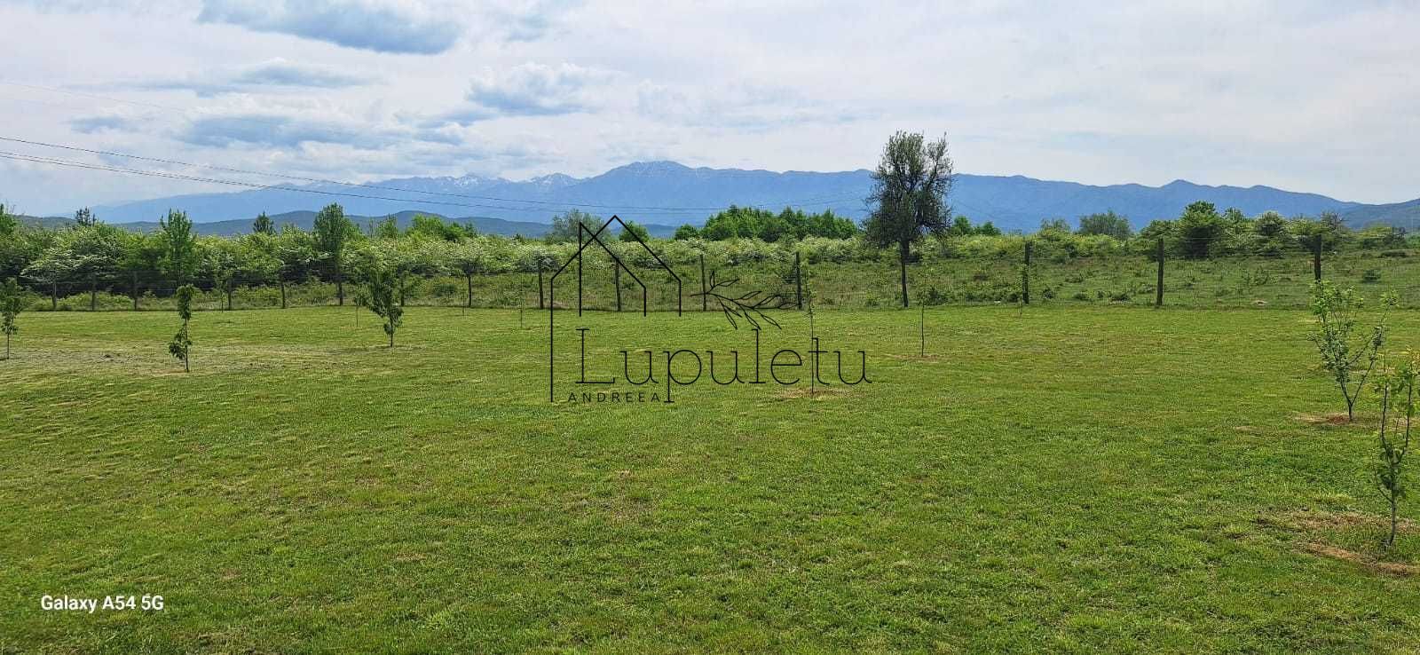 Teren Extravilan | 2.000 MPU | Intabulat | Zonă liniștită - Poză 4