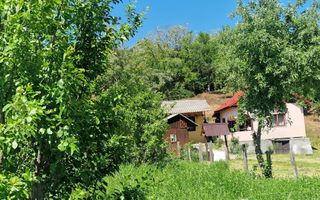  Proprietate în Comuna Botești, Județul Argeș – Zonă Pitorească și Liniștită ! - Poză 3