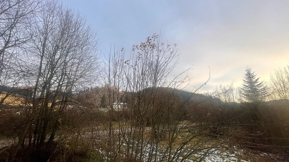 TEREN INTRAVILAN 2,26 HA | SUCEVITA | - Poză 13