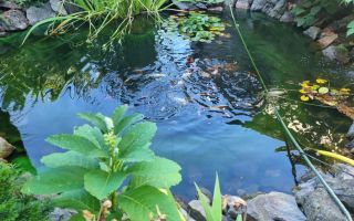 Casa cu 4 camere | Gruia | Parcare Proprie - Poză 7