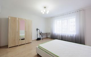 Chirie, apartament, 2 camere, str. Valea Crucii, Botanica - Poză 10