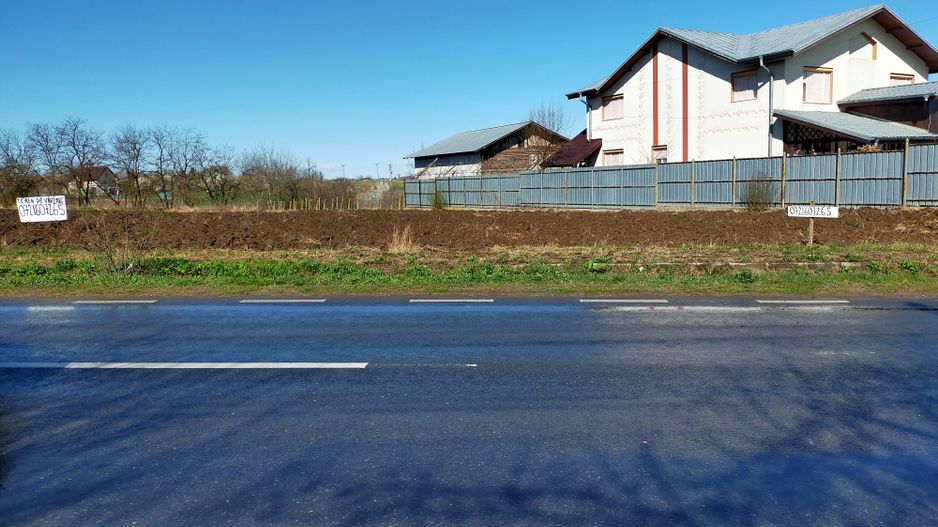 Teren de vânzare în Dascalu, judet Bucuresti Ilfov - Poză 9