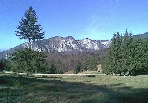 Teren Predeal - Poză 1