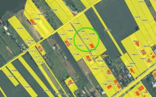 Teren intravilan 614 mp Ciofliceni Snagov - Poză 2