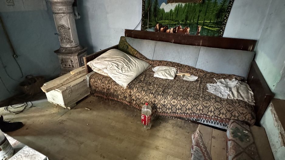 Casa batraneasca de vanzare in Tartaria - Poză 5