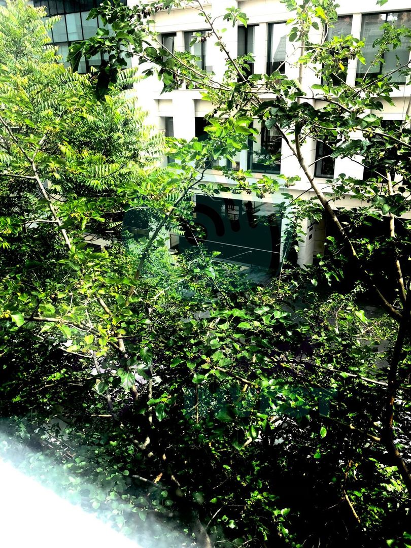 Apartament cu 3 camere renovat si cu parcare - Poză 9