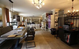 Spatiu de inchiriat in zona Semicentrala, 260 mp, acces stradal - Poză 2