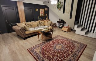 VANZARE CASA INDIVIDUALA  P+E+M DRISTOR