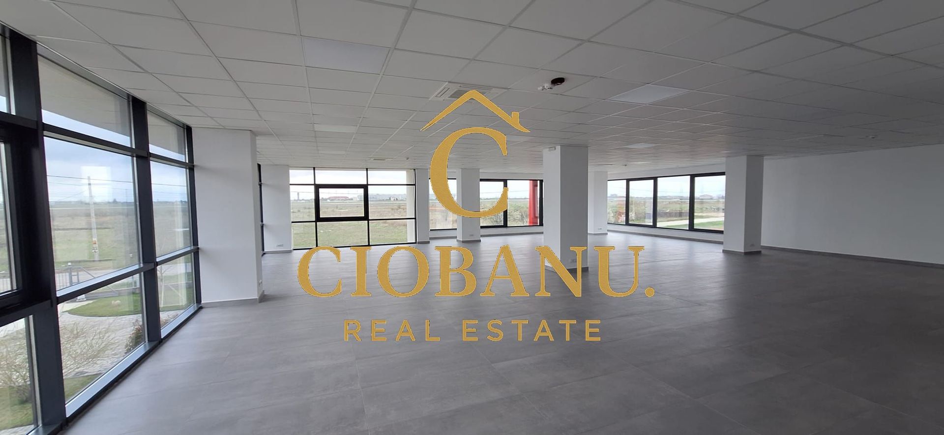 Hale industriale+Cladire de Birouri de inchiriat zona Aeroport - Poză 6