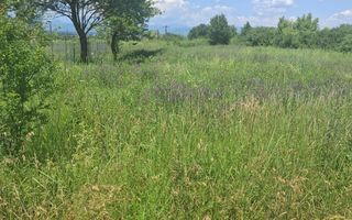 Teren extravilan 2.500 mp | Str. Ana Ipătescu, Târgu Jiu  - Poză 2