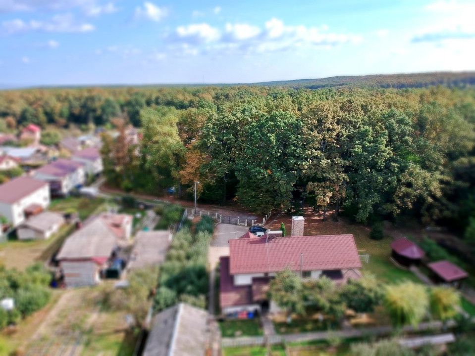 Ocazie!! Vanzare teren - padure, toate utilitatile, Balotesti - Poză 8