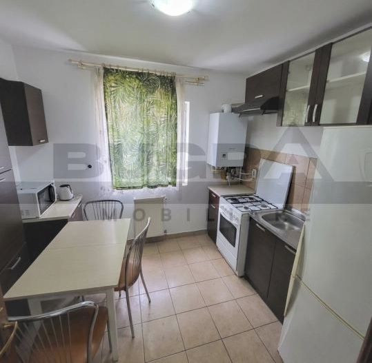 Apartament 2 camere, 42mp, terasa 12mp, etaj intermediar, zona Baciu - Poză 3