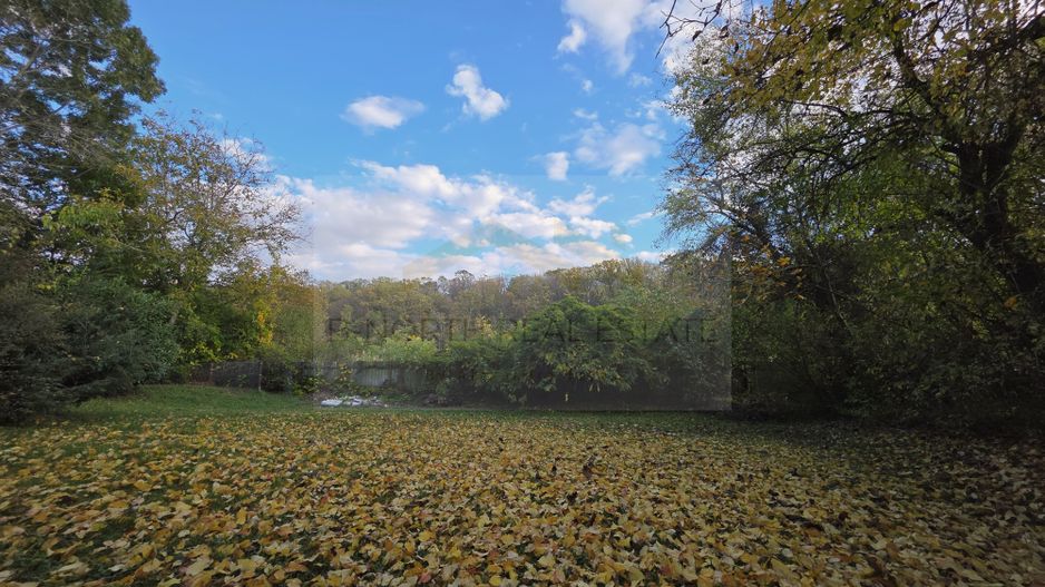 Reședință exclusivistă cu deschidere la Lacul Scroviștea - Poză 23