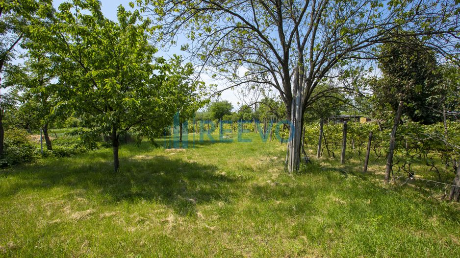 Casă de vânzare în Buhuși, jud. Bacău - Poză 8