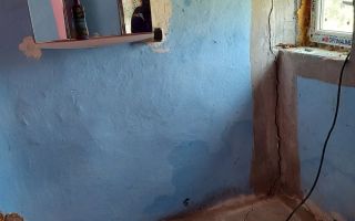 Teren intravilan 1.200 mp cu casă veche 77 mp, sat Goruni, comuna Tomești, județul Iași - Poză 4