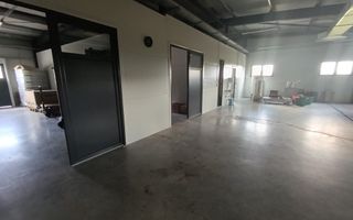 Spațiu comercial, producere+plantație de aronie, Timiș - Poză 4