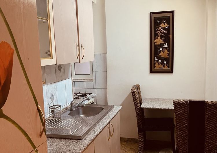 Apartament 2 camere de inchiriat Centrul Vechi -Unirii - Poză 8