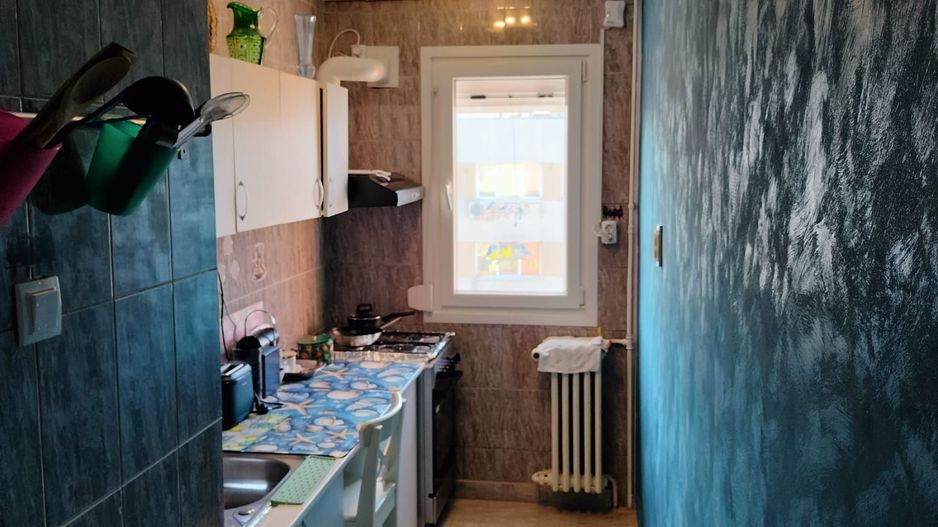 Prima Închiriere | Vedere Panoramică spre ParkLake – Zona IOR - Poză 18