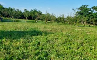 Vanzare casa deosebita, Suseni, Arges - Poză 14