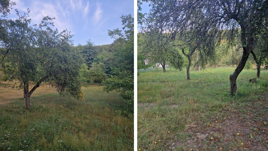 Teren de vacanță 5600 mp cu cabană, Utilitaiile Căsoaia jud Arad - Poză 5