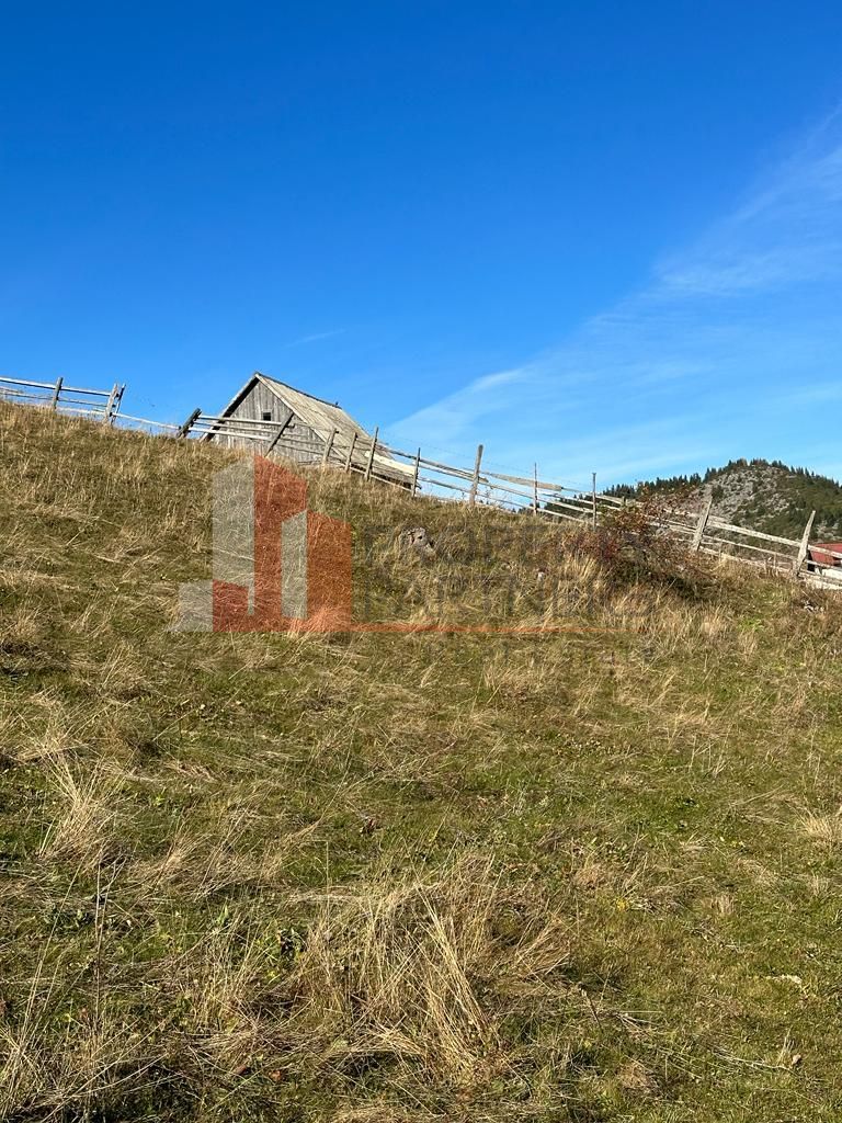 Teren Fundatica intravilan 4500 mp - Poză 10