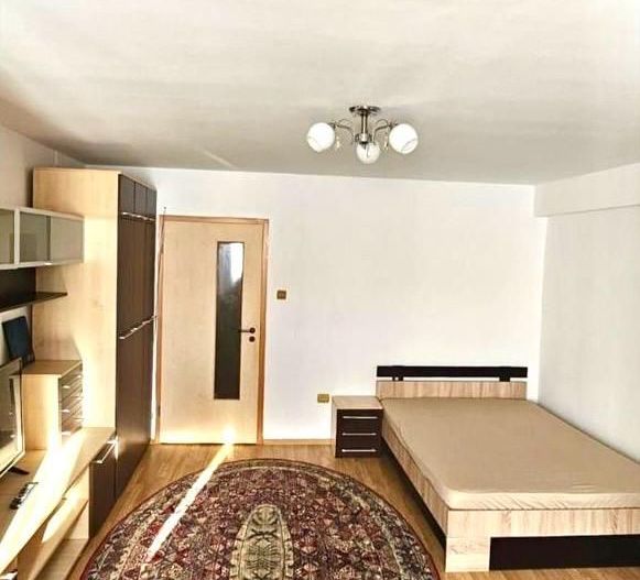 Apartament cu 1 cameră complet mobilat |Calea Circumvalațiunii| - Poză 1