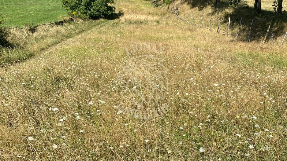 Teren intravilan 2600 mp - pretabil casa/investitie-Zona Aerodrom - Poză 7