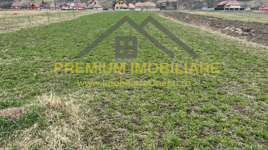 Vânzare teren 3145 mp – Mănăstirea Cașin, Onești - Poză 7