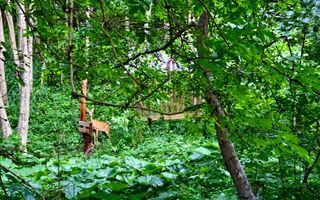 18000 mp de natura pura ,Lupeni, langa Straja - Poză 2