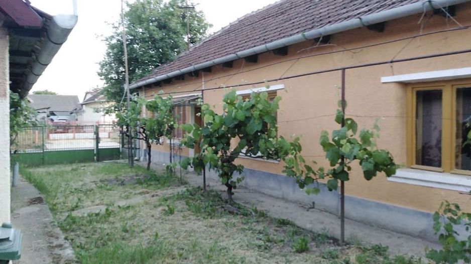 Ocazie unica 2case +1 loc casa/teren - Poză 8