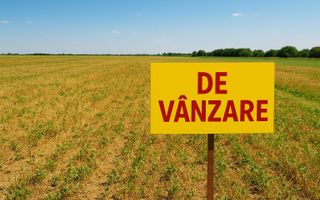 Teren | Extravilan |  2.269 MP | Daia - Poză 3