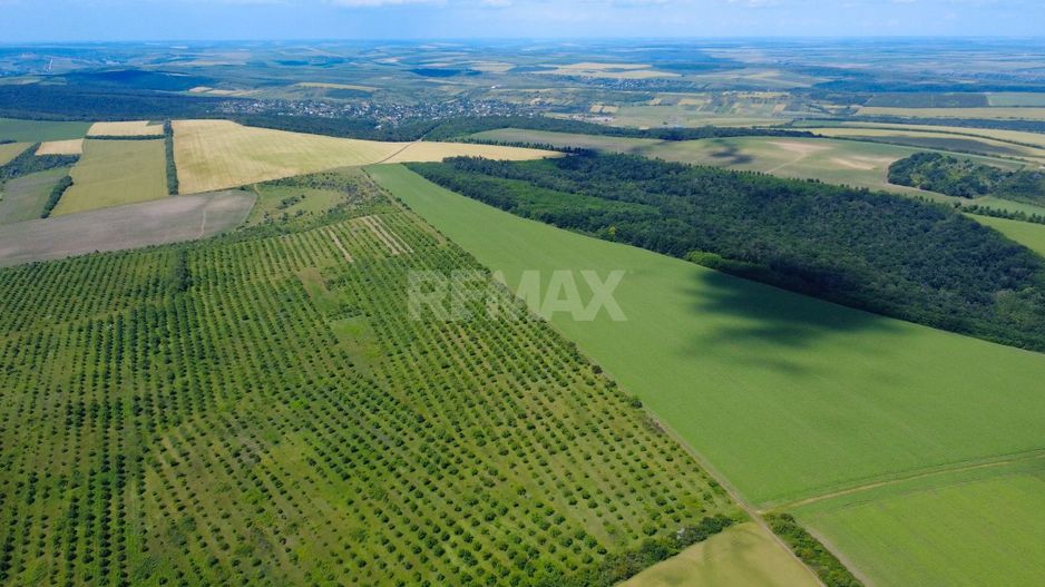 Teren Agricol, 11 HA, Bulăiești, Orhei - Poză 6