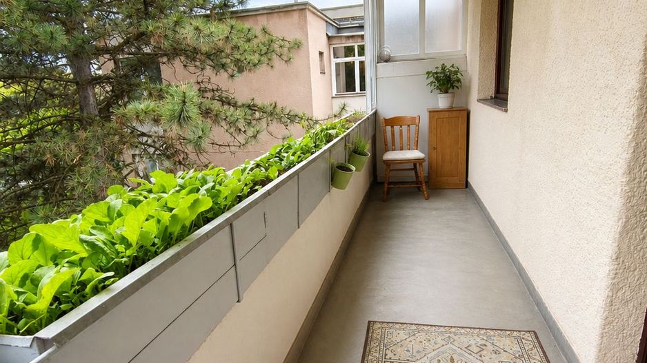 Apartament 3 camere Cornișa | 65 mp | 2 balcoane | 4 min UMFST | Comis - Poză 6