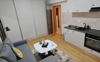 STUDIO- PIATA SUDULUI, PET-FRIENDY, DORMITOR SEPARAT, METROU, CENTRALA - Poză 3