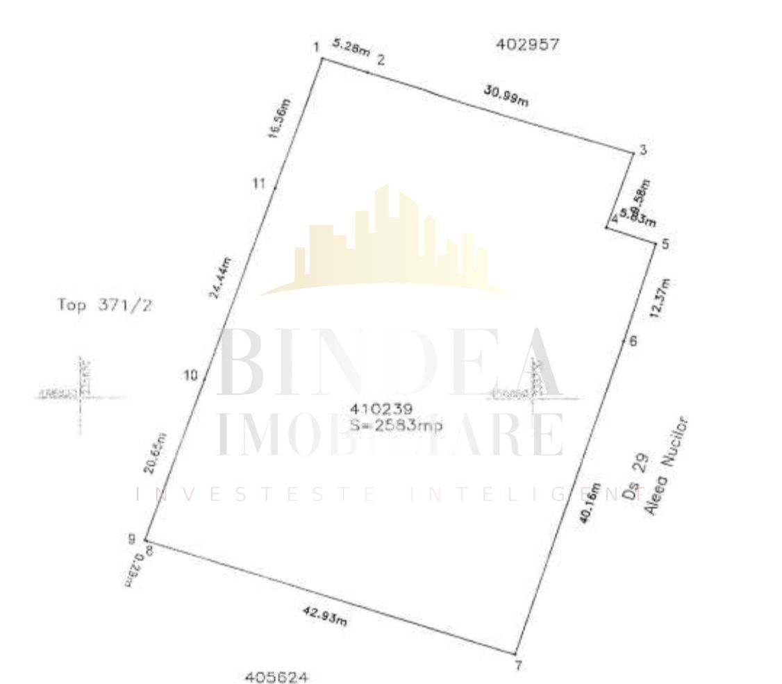 Teren intravilan CENTRAL Buzias, 2583mp - Poză 6