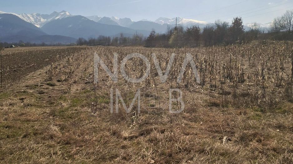 Teren extravilan de vanzare - Arpasul de Sus - Poză 6