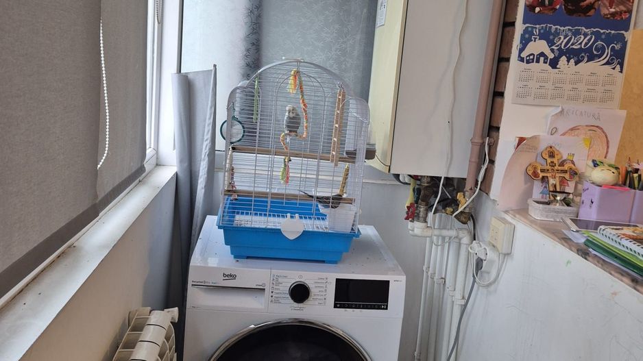 Apartament spațios in  Mazepa 1 - 3 camere, 2 băi, etaj 2 - Poză 18