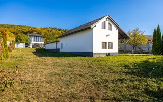 Casă 4 camere, garaj, foișor, grajd, 6000mp teren lângă padure - Poză 29